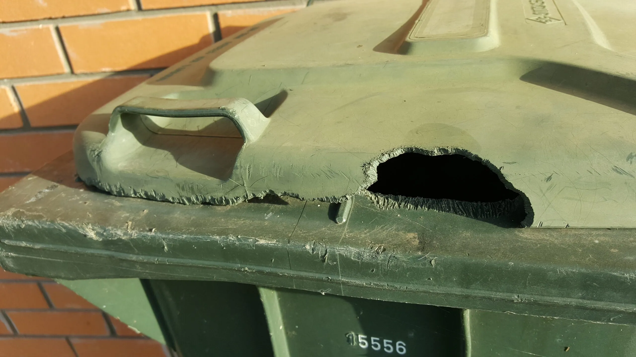 A wheelie bin lid with a hole chewed through it by rats