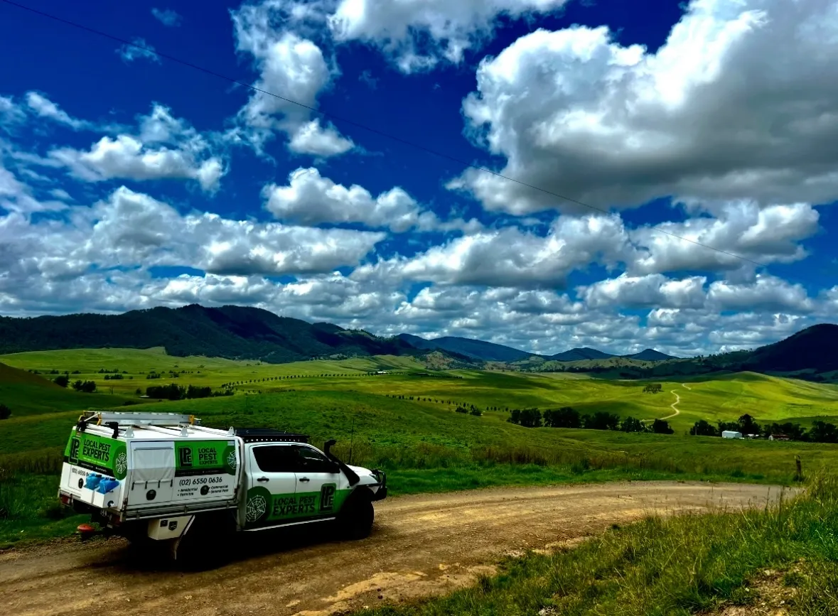 A Local Pest Experts ute on a dirt road through green rolling hills