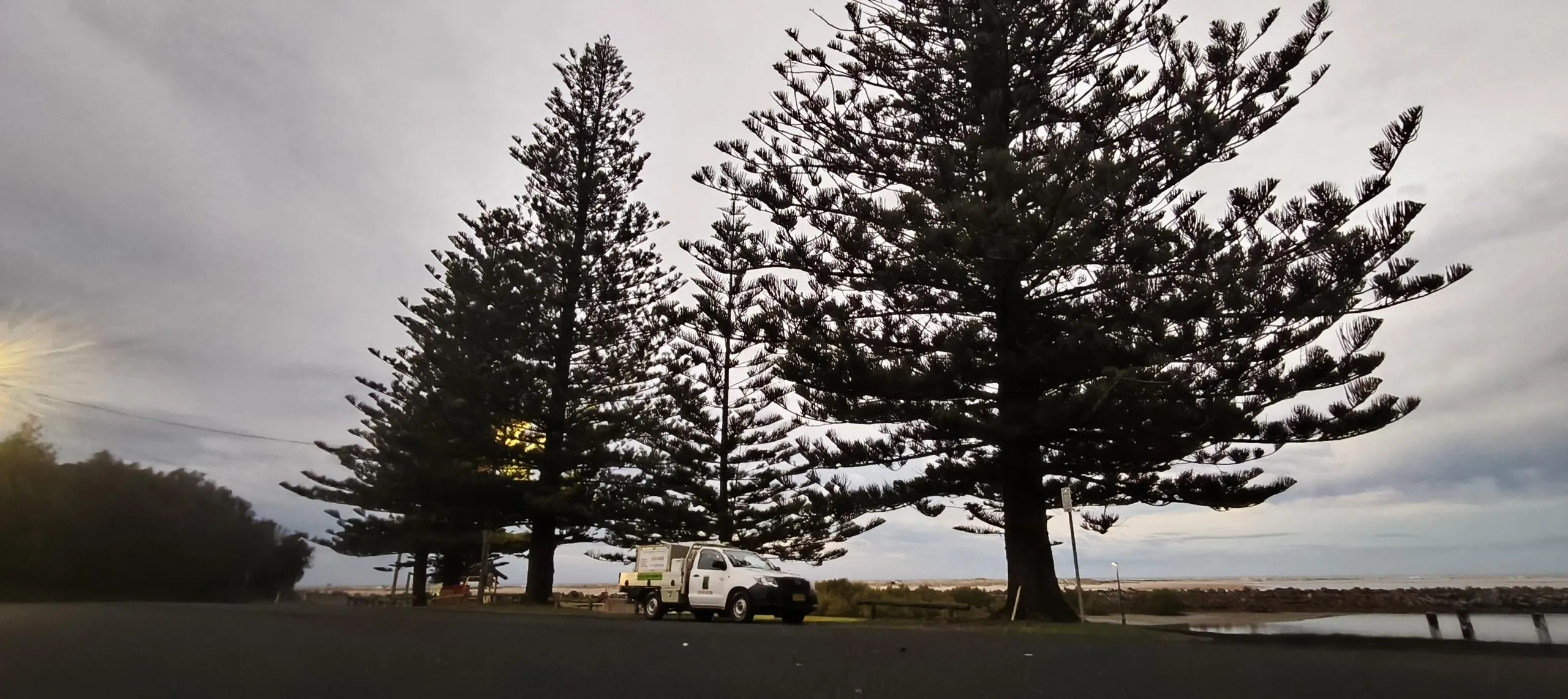 A Local Pest Experts ute parked under Norfolk pines at Harrington